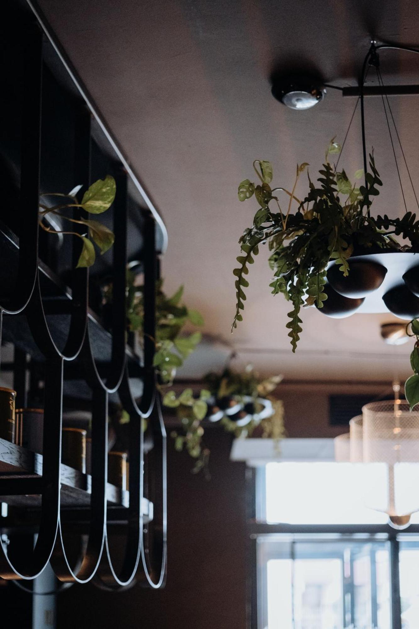 Gentle Hide Designhotel Salzburg Bagian luar foto